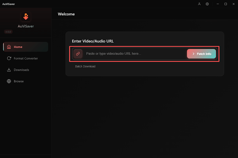 auvisaver main interface